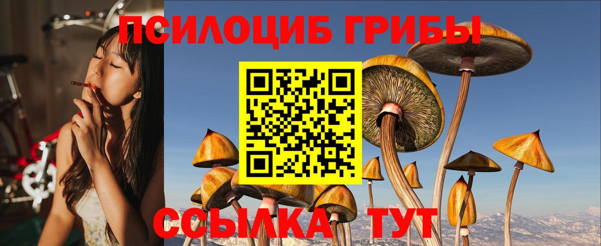 Галлюциногенные грибы Magic Shrooms  Галлюциногенные грибы прущие грибы  Вход с VPN  Сердобск 