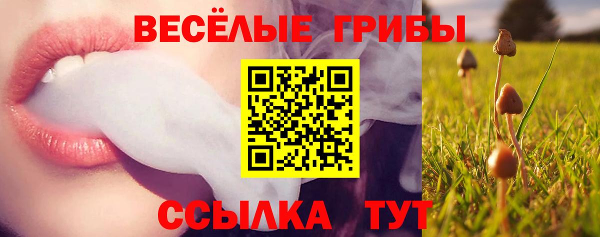 Псилоцибиновые грибы ЛСД Сердобск